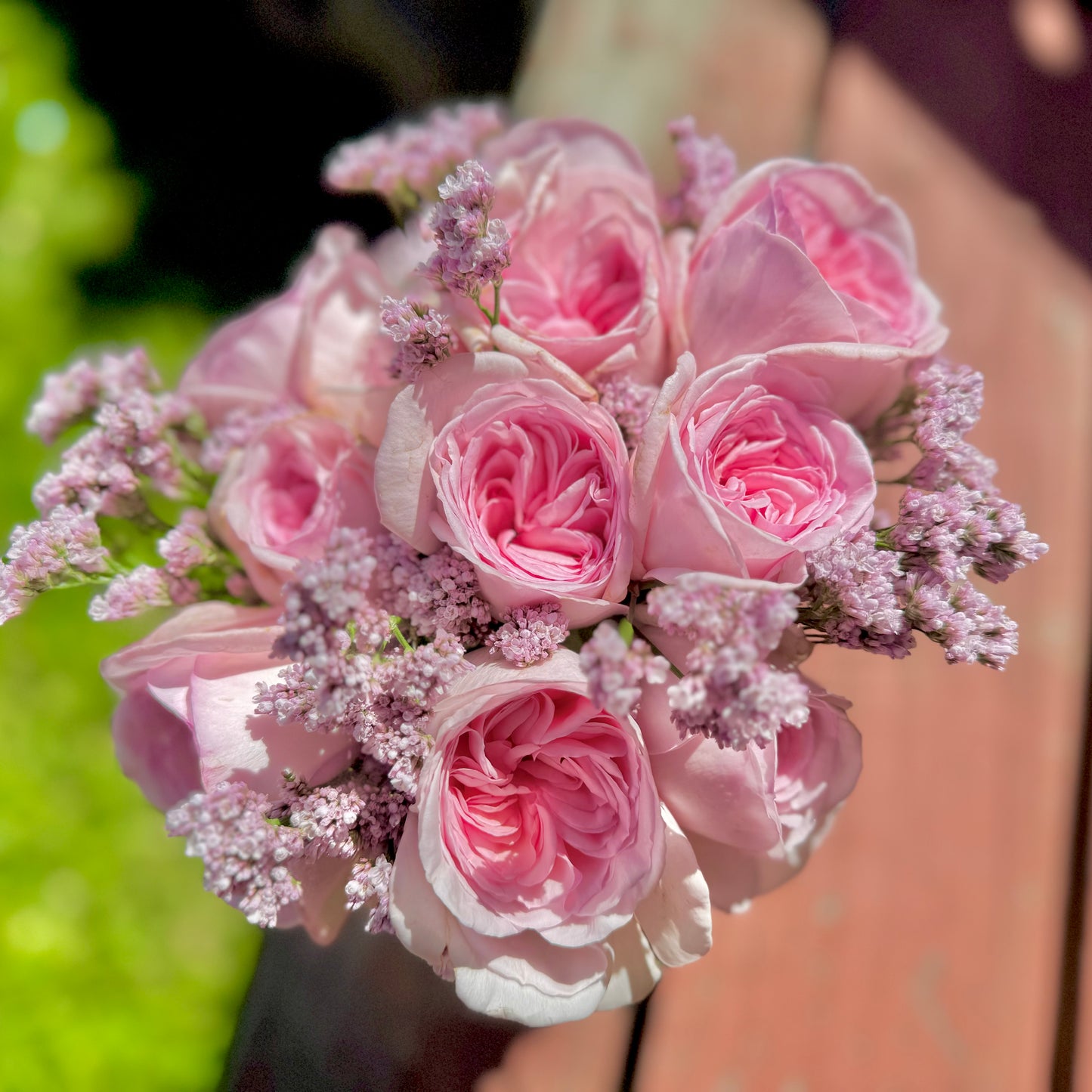 Own-Root Rose Collections -- Part 1