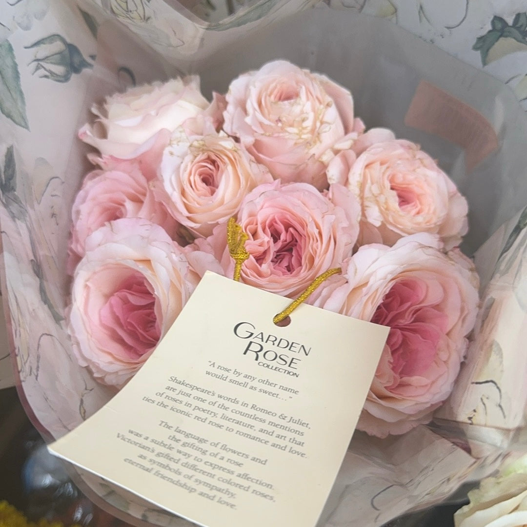 Own-Root Rose Collections -- Part 1