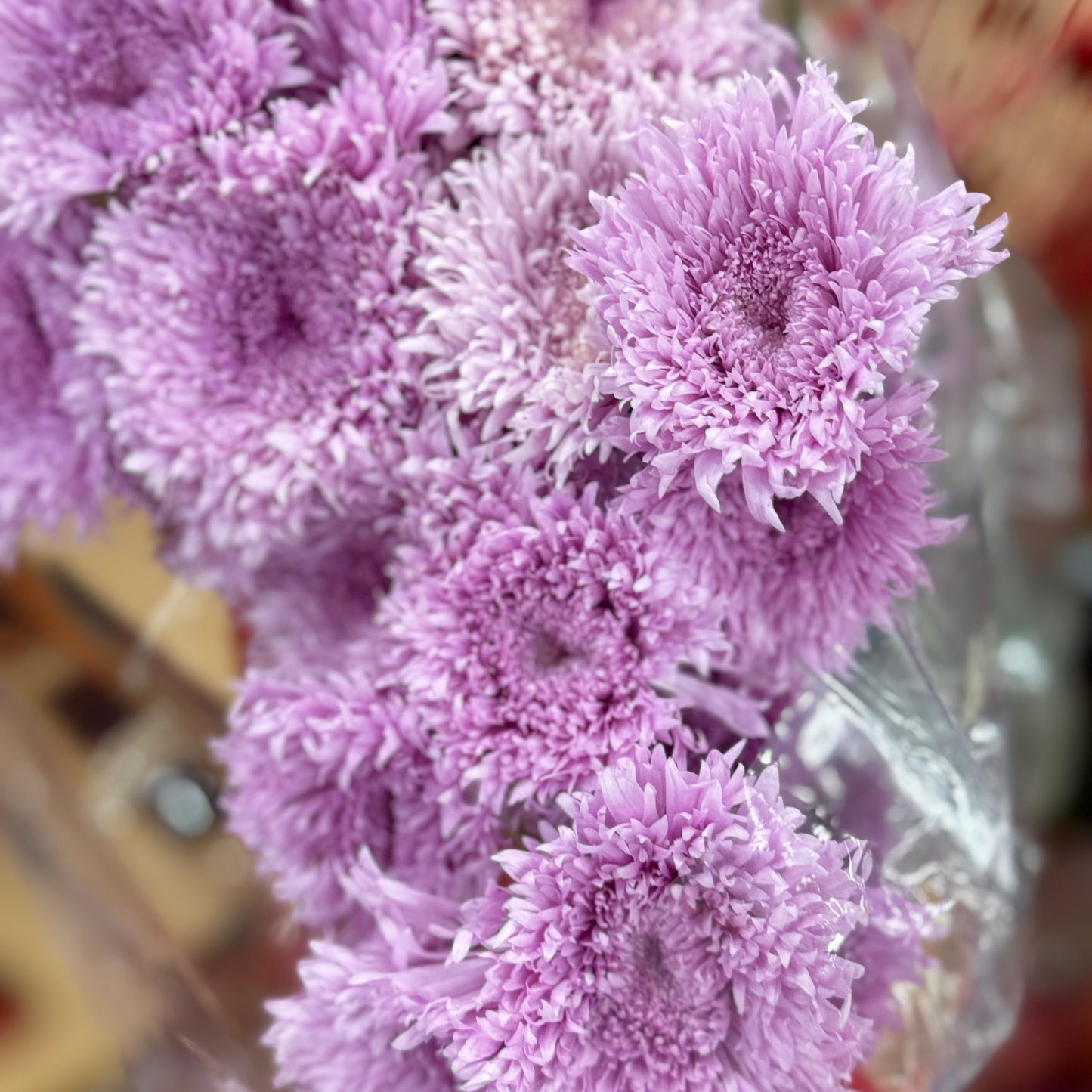 Small Mum Collections