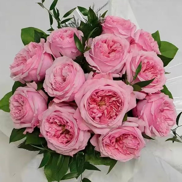 Own-Root Rose Collections -- Part 2