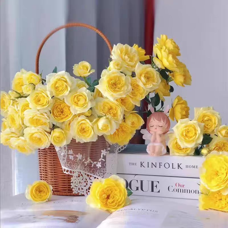 Own-Root Rose Collections -- Part 2