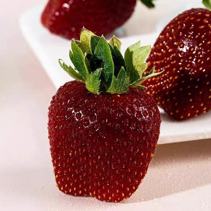 Strawberry Plant